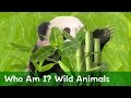 Can You Guess Which Wild Animals Are Hiding