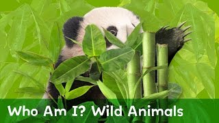 Guess wild animal - more_show me gameplay video by Ceanna, 5:39 duration