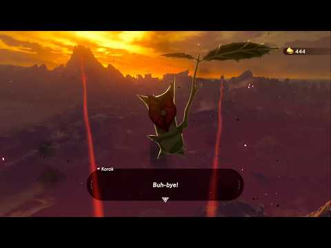 Zelda: Breath of The Wild [100%] - All Koroks - Hyrule Castle
