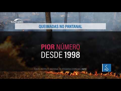 Aprovada proposta que prevê uso de aviões agrícolas para combater incêndios florestais