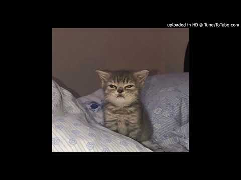 [FREE] Ansu x Lugatti & 9ine x 65Goonz Type Beat