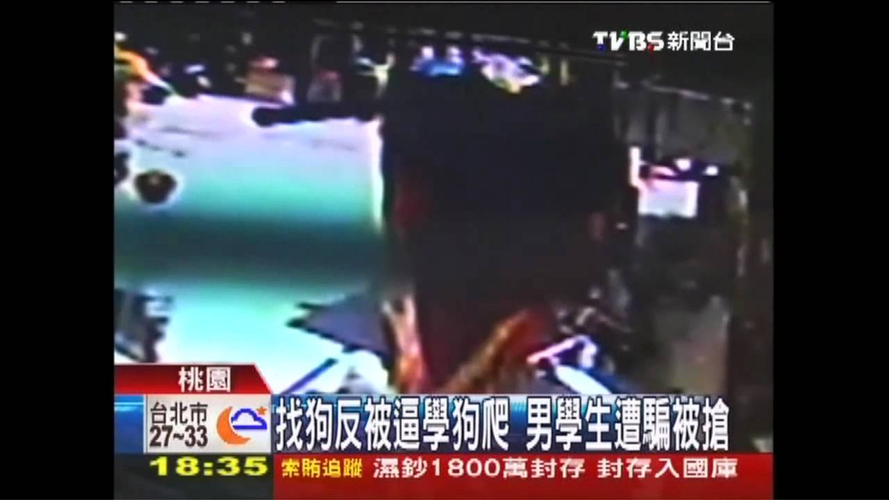 找狗反被逼學狗爬　男學生遭騙被搶