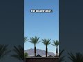 Blue Skies in Las Vegas #lasvegas #lasvegasweather #blueskies #sunnydaY #sunnyweather #lasvegaslocal