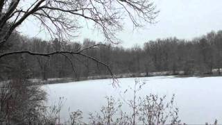 Let It Snow sung by Andy Williams (HD)