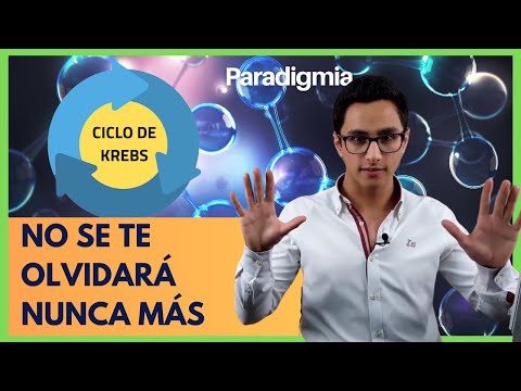 Ciclo de KREBS (Paso a Paso✅) Explicación Sencilla 🧪Curso Bioquimica🧪 #001