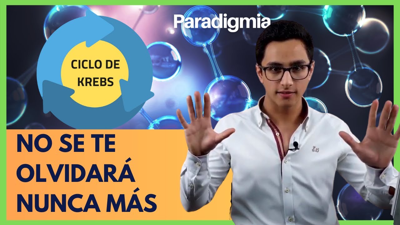 Ciclo de KREBS (Paso a Paso✅) Explicación Sencilla 🧪Curso Bioquimica🧪 #001
