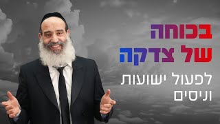 מקיימים מצוות קמחא דפסחא עם הרב פנגר! (הרב יצחק פנגר) - התמונה מוצגת ישירות מתוך אתר האינטרנט יוטיוב. זכויות היוצרים בתמונה שייכות ליוצרה. קישור קרדיט למקור התוכן נמצא בתוך דף הסרטון מקיימים מצוות קמחא דפסחא עם הרב פנגר! (הרב יצחק פנגר) - התמונה מוצגת ישירות מתוך אתר האינטרנט יוטיוב. זכויות היוצרים בתמונה שייכות ליוצרה. קישור קרדיט למקור התוכן נמצא בתוך דף הסרטון