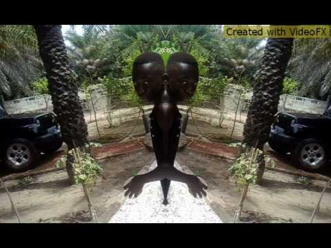 Zalbee copie eddy mufasa direct by Eldji str