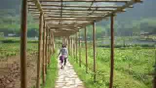 Take her out of pity