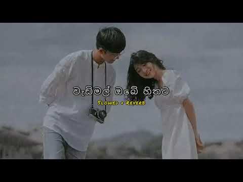 Wadimal obe hithata ( වැඩිමල් ඔබේ හිතට ) Slowed and Reverb