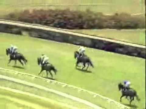 20110226 IPOH CLASS 5 1100M (STR) - BLUE CENTRE (I Fadzlei)