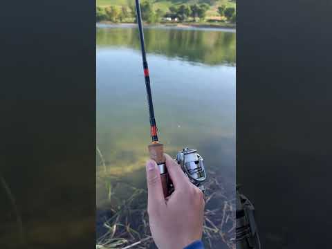 Daiwa exceler lt 1000 with daiwa presso ultra light#troutfishing #ultralightfishing #daiwa#shorts