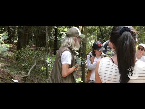 Reforestación en la Serranía El Majuy con Teleperformance