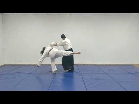 Aikido Basic Techniques: Yokomen Uchi -  Ikkyo