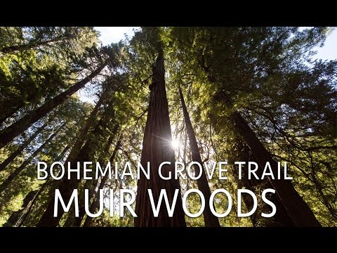 download lagu mp3 mp4 Great Owl Of Bohemia, download lagu Great Owl Of Bohemia gratis, unduh video klip Great Owl Of Bohemia