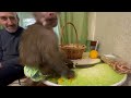 КОШМАР! Люська»Крымская» ест чеснок и сама снимает про себя видео!