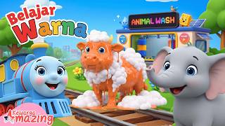 Download lagu Belajar Warna Hewan Anak PAUD TK 🚂 | Tut Tut Kereta Api & Mesin Mandi Ajaib 🐘⭐🐄 | Edukasi Balita mp3 Download lagu Belajar Warna Hewan Anak PAUD TK 🚂 | Tut Tut Kereta Api & Mesin Mandi Ajaib 🐘⭐🐄 | Edukasi Balita mp3