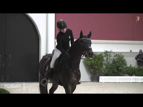 Gestüt Bonhomme - Highlights der Hengstvorstellung auf Bonhomme 2020