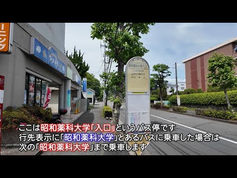 薬学科 成瀬駅ルート2024