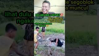 Download lagu KELAKUAN LAKNAT‼️ Otak Mereka Udah di Sewa  komputer Apa Gimana sih🤣🤣” mp3 Download lagu KELAKUAN LAKNAT‼️ Otak Mereka Udah di Sewa  komputer Apa Gimana sih🤣🤣” mp3