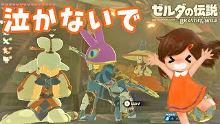 泣いてるパーヤちゃん可愛い。カカリコ村「盗まれた宝珠」攻略【ゼルダの伝説ブレスオブザワイルド女性実況】～今日もゼルダを救えない#97