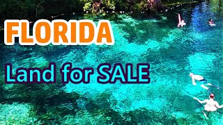 FLORIDA Land For Sale - #3 Palm Trees & Blue Springs 🌴🌴