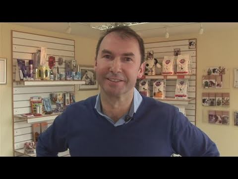 download lagu mp3 mp4 How Long Does A Great Dane Stay In Heat, download lagu How Long Does A Great Dane Stay In Heat gratis, unduh video klip How Long Does A Great Dane Stay In Heat