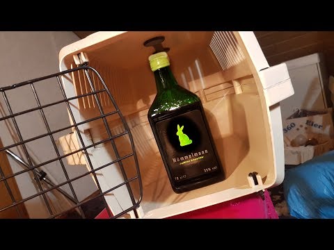 download lagu mp3 mp4 Mummelmann, download lagu Mummelmann gratis, unduh video klip Mummelmann