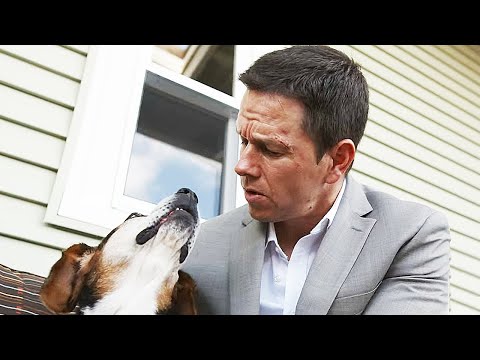 Mark Wahlberg Loves Animals