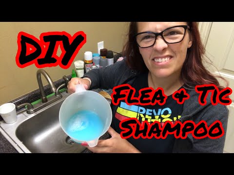 DIY flea and tic shampoo- it works