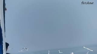 Cox'sbazar to Saintmartin seagull view