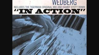Magnus Wedberg - In Action (Danny Stott Remix)