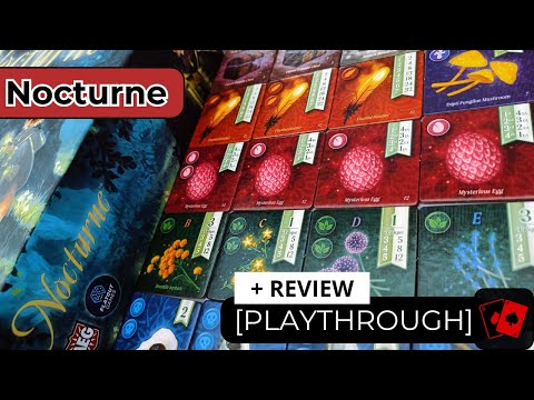 Solo Playthrough + Review | Nocturne