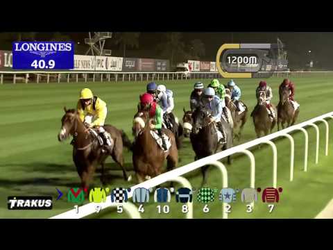 DWC 2016 Race 7 - Dubai Turf Sponsored By DP World