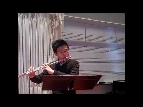 2011 YouTube Symphony Flute Audition - Paul Hung