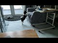 IMG 2181