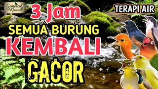 Download lagu SANGAT AMPUH‼️ 3 Jam Suara Gemericik Air Alami Untuk Terapi Burung Macet Bunyi dan Stress mp3