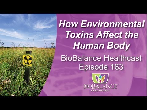 How Environmental Toxins Affect the Human Body