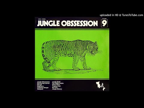 LYSERGICFUNK : Malaysia - Nino Nardini & Roger Roger