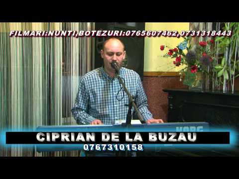 Ciprian de la Buzau COLAJ SARBE