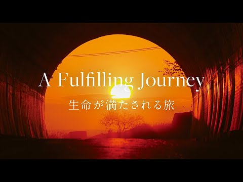 【屋久島】Photogenic: 美しさ映えるフォトジェニックな島 - A Fulfilling Journey 生命が満たされる旅