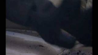 Wrestling Technique: Takedown Drills