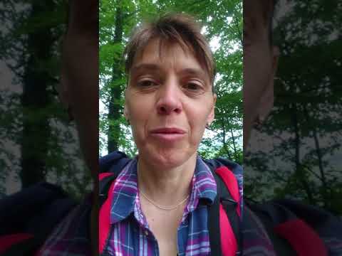 14. Etappe Stans - Flüeli-Ranft, 20km