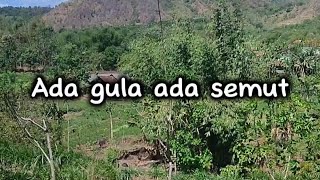 Download lagu Arti Peribahasa 'Ada Gula Ada Semut' mp3