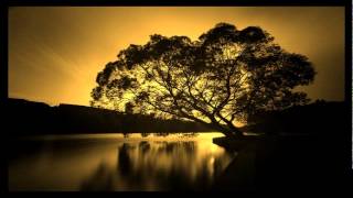 Damabiah - L'arbre De Vie (Dibby Dougherty & David Young's Beatless Version)