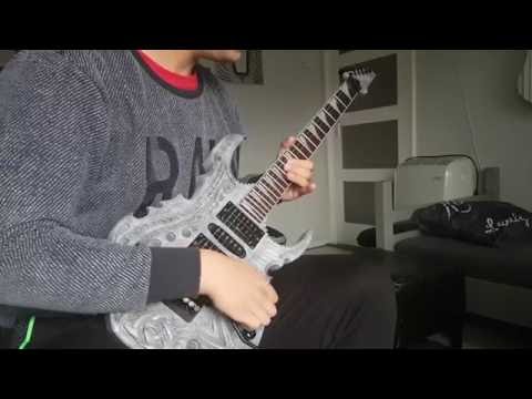 Farewell Ballad (Zakk Wylde) - Guitar Cover [HD]