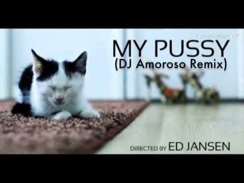Frank Lamboy feat. Dirty Disco Diva - My Pussy (DJ Amoroso Remix)