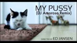 Frank Lamboy feat. Dirty Disco Diva - My Pussy (DJ Amoroso Remix)