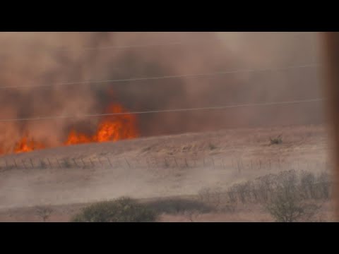 Texas wildfire updates: How crews are battling the Big L fire