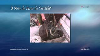 preview picture of video 'A Arte de Pesca da Sertela'